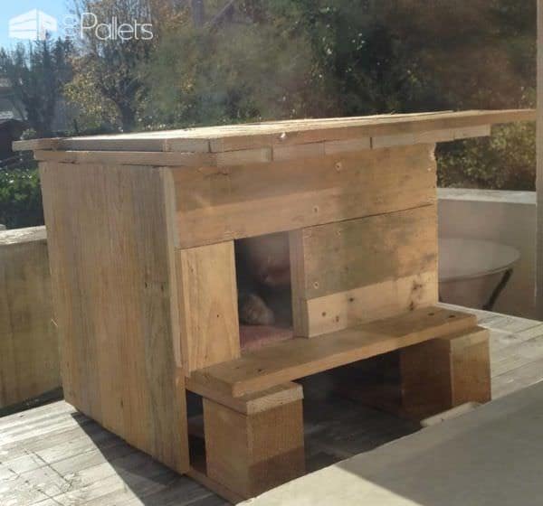 Cat Pallet Projects: Here Are 10 Amazing Ideas For Them! Animal Pallet Houses & Pallet Supplies Cat Pallet Projects: Here Are 10 Amazing Ideas For Them! Animal Pallet Houses & Pallet Supplies