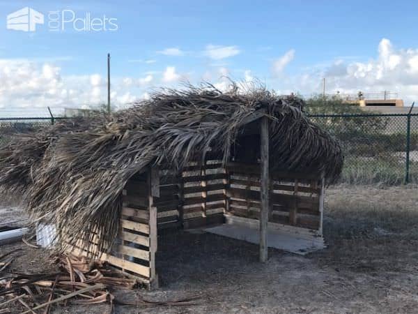 Pallet Animal Shelter For Our Goats Animal Pallet Houses & Pallet Supplies Pallet Animal Shelter For Our Goats Animal Pallet Houses & Pallet Supplies