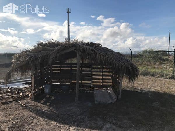 Pallet Animal Shelter For Our Goats Animal Pallet Houses & Pallet Supplies Pallet Animal Shelter For Our Goats Animal Pallet Houses & Pallet Supplies
