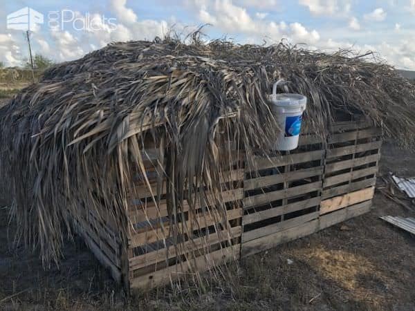 Pallet Animal Shelter For Our Goats Animal Pallet Houses & Pallet Supplies Pallet Animal Shelter For Our Goats Animal Pallet Houses & Pallet Supplies