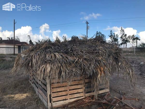 Pallet Animal Shelter For Our Goats Animal Pallet Houses & Pallet Supplies Pallet Animal Shelter For Our Goats Animal Pallet Houses & Pallet Supplies