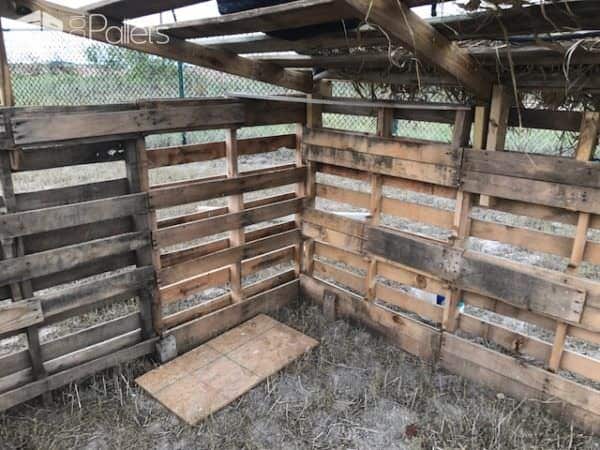Pallet Animal Shelter For Our Goats Animal Pallet Houses & Pallet Supplies Pallet Animal Shelter For Our Goats Animal Pallet Houses & Pallet Supplies