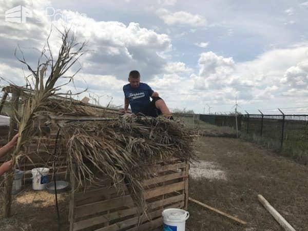 Pallet Animal Shelter For Our Goats Animal Pallet Houses & Pallet Supplies Pallet Animal Shelter For Our Goats Animal Pallet Houses & Pallet Supplies