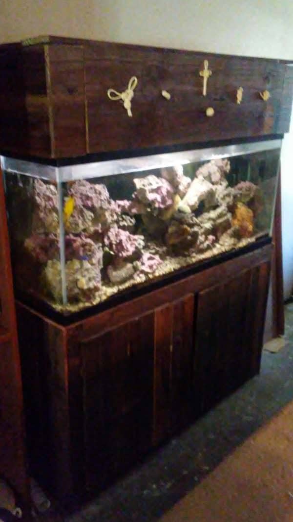 Pallet Fish Tank Stand Has Decorative Knot Hood Animal Pallet Houses & Pallet Supplies Pallet Fish Tank Stand Has Decorative Knot Hood Animal Pallet Houses & Pallet Supplies