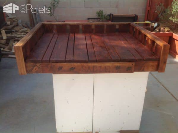Raised Pallet Dog Bed Keeps Sadie Comfy Animal Pallet Houses & Pallet Supplies Raised Pallet Dog Bed Keeps Sadie Comfy Animal Pallet Houses & Pallet Supplies