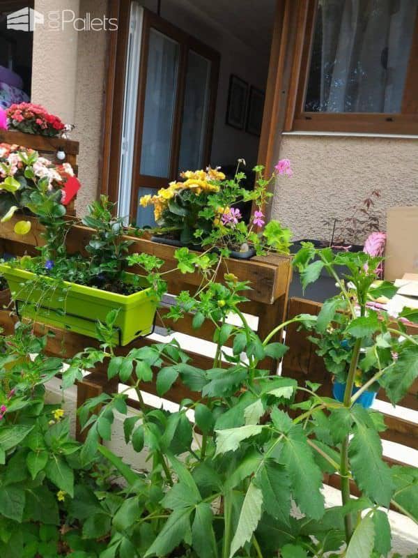 Vertical Pallet Garden Railing Along Our Access Ramp Pallet Fences Pallet Planters & Compost Bins Vertical Pallet Garden Railing Along Our Access Ramp Pallet Fences Pallet Planters & Compost Bins