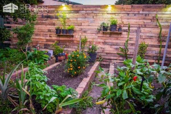 Pallet Privacy Fence Creates Stylish Garden Area Pallet Fences Pallet Privacy Fence Creates Stylish Garden Area Pallet Fences