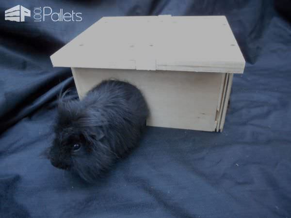5 Upcycled Wood Pet-themed Gifts You’ll Love! Animal Pallet Houses & Pallet Supplies 5 Upcycled Wood Pet-themed Gifts You’ll Love! Animal Pallet Houses & Pallet Supplies