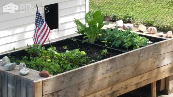 Wife’s Raised Pallet Wood Garden Planter Pallet Planters & Compost Bins Wife’s Raised Pallet Wood Garden Planter Pallet Planters & Compost Bins