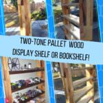 Two-tone Pallet Display Shelf Doubles As Bookshelf! Pallet Bookcases & Bookshelves Two-tone Pallet Display Shelf Doubles As Bookshelf! Pallet Bookcases & Bookshelves