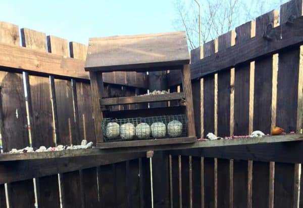 Simple, Attractive Pallet Bird Table/Feeder Animal Pallet Houses & Pallet Supplies Fun Pallet Crafts for Kids Simple, Attractive Pallet Bird Table/Feeder Animal Pallet Houses & Pallet Supplies Fun Pallet Crafts for Kids