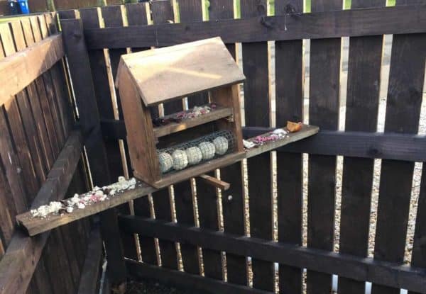 Simple, Attractive Pallet Bird Table/Feeder Animal Pallet Houses & Pallet Supplies Fun Pallet Crafts for Kids Simple, Attractive Pallet Bird Table/Feeder Animal Pallet Houses & Pallet Supplies Fun Pallet Crafts for Kids