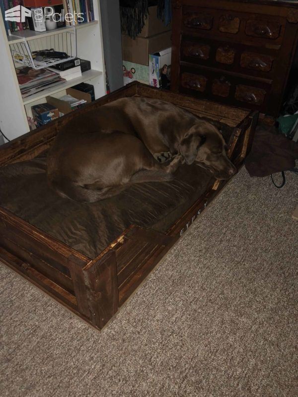 Dog Bed with Furring Strips Animal Pallet Houses & Pallet Supplies Dog Bed with Furring Strips Animal Pallet Houses & Pallet Supplies