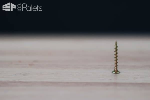 Which Screws To Choose for Your Wood Pallet Projects? Workshop and tools Which Screws To Choose for Your Wood Pallet Projects? Workshop and tools