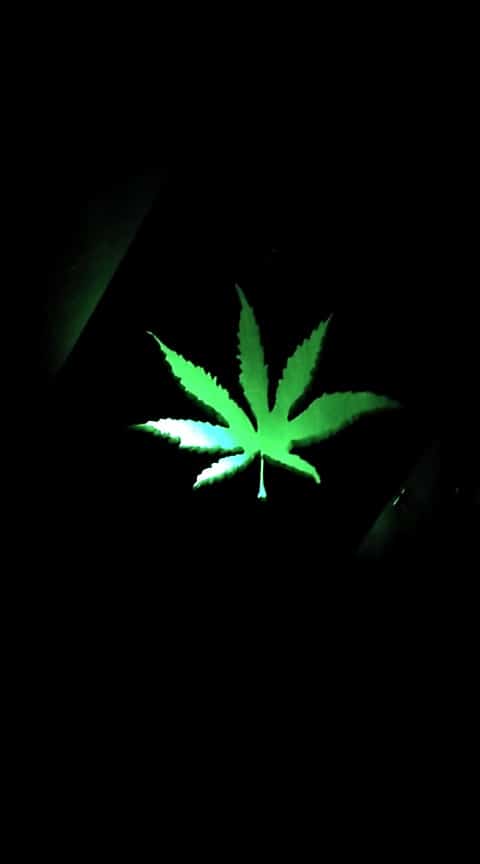 Cannabis Leaf Pallet Wall Décor Pallet Lamps & Lights Pallet Wall Decor & Pallet Painting Cannabis Leaf Pallet Wall Décor Pallet Lamps & Lights Pallet Wall Decor & Pallet Painting