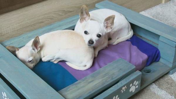 Diy: Pallet Pet Bed Animal Pallet Houses & Pallet Supplies DIY Pallet Tutorials DIY Pallet Video Tutorials Diy: Pallet Pet Bed Animal Pallet Houses & Pallet Supplies DIY Pallet Tutorials DIY Pallet Video Tutorials