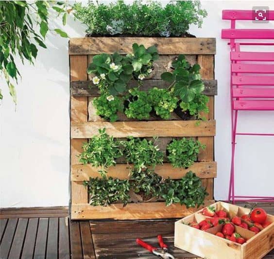 5 Springtime Pallet Projects For Your Garden Animal Pallet Houses & Pallet Supplies Lounges & Garden Sets Pallet Planters & Compost Bins 5 Springtime Pallet Projects For Your Garden Animal Pallet Houses & Pallet Supplies Lounges & Garden Sets Pallet Planters & Compost Bins