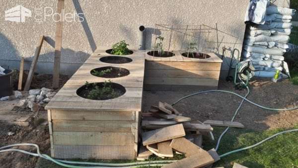 Raised Vegetable Garden From Pallet & Formwork Planks Pallet Planters & Compost Bins Raised Vegetable Garden From Pallet & Formwork Planks Pallet Planters & Compost Bins