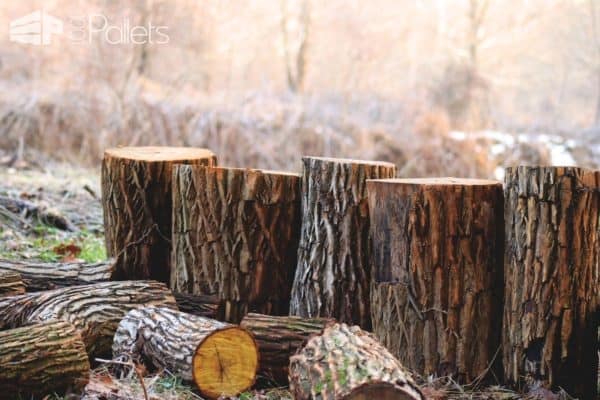 Firewood for Sale: How to Find & Choose It? Other Pallet Projects Workshop and tools Firewood for Sale: How to Find & Choose It? Other Pallet Projects Workshop and tools