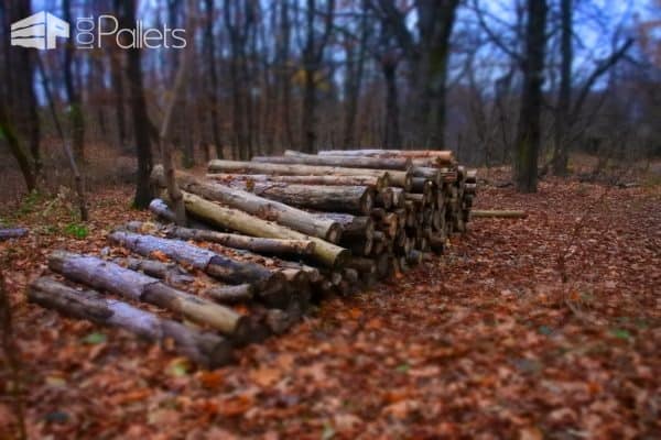 Firewood for Sale: How to Find & Choose It? Other Pallet Projects Workshop and tools Firewood for Sale: How to Find & Choose It? Other Pallet Projects Workshop and tools