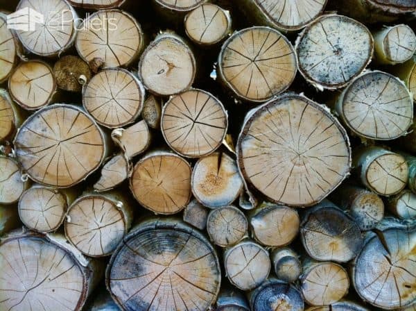 Firewood for Sale: How to Find & Choose It? Other Pallet Projects Workshop and tools Firewood for Sale: How to Find & Choose It? Other Pallet Projects Workshop and tools