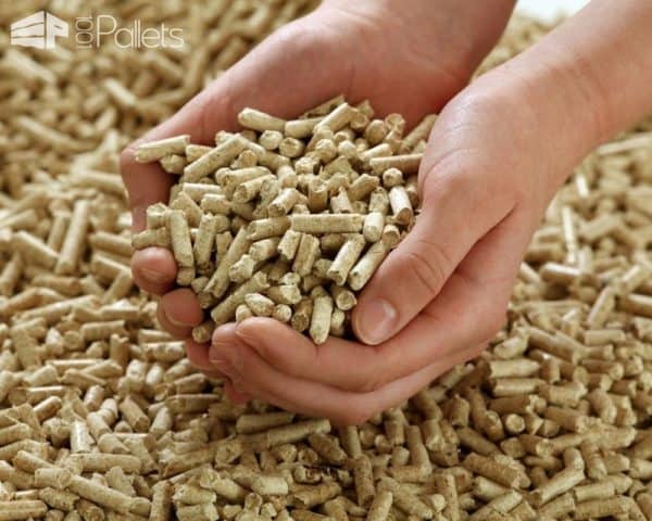 Firewood for Sale: How to Find & Choose It? Other Pallet Projects Workshop and tools Firewood for Sale: How to Find & Choose It? Other Pallet Projects Workshop and tools