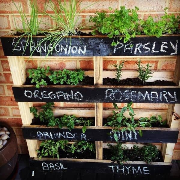 What Can I Grow in a Vertical Pallet Garden? Pallet Planters & Compost Bins What Can I Grow in a Vertical Pallet Garden? Pallet Planters & Compost Bins