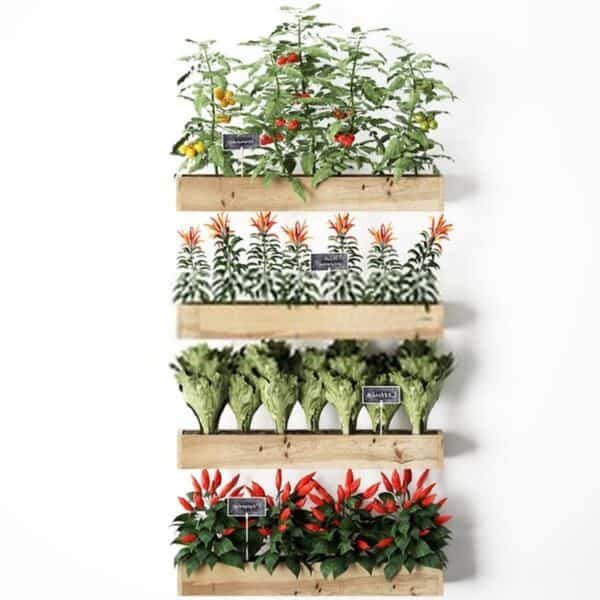 What Can I Grow in a Vertical Pallet Garden? Pallet Planters & Compost Bins What Can I Grow in a Vertical Pallet Garden? Pallet Planters & Compost Bins