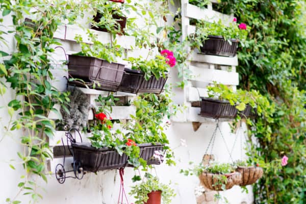 What Can I Grow in a Vertical Pallet Garden? Pallet Planters & Compost Bins What Can I Grow in a Vertical Pallet Garden? Pallet Planters & Compost Bins