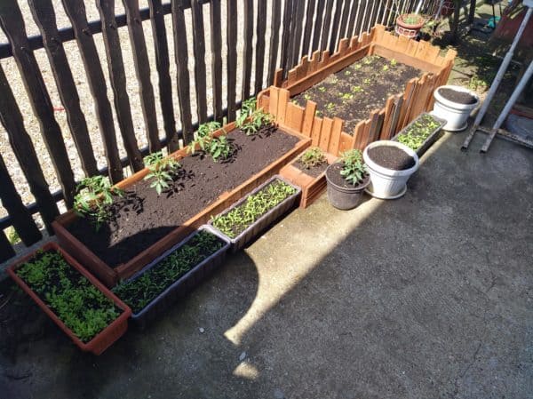 How I Made Crates For Vegetables And Flowers From Pallets Pallet Planters & Compost Bins How I Made Crates For Vegetables And Flowers From Pallets Pallet Planters & Compost Bins