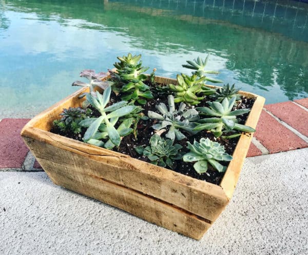 Simple Mitered Pallet Planter Pallet Home Décor Ideas Pallet Planters & Compost Bins Simple Mitered Pallet Planter Pallet Home Décor Ideas Pallet Planters & Compost Bins