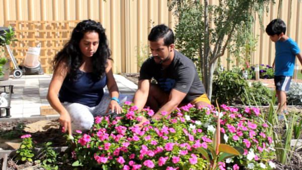 Diy – Backyard Pallet Planter Box DIY Pallet Tutorials DIY Pallet Video Tutorials Pallet Planters & Compost Bins Diy – Backyard Pallet Planter Box DIY Pallet Tutorials DIY Pallet Video Tutorials Pallet Planters & Compost Bins