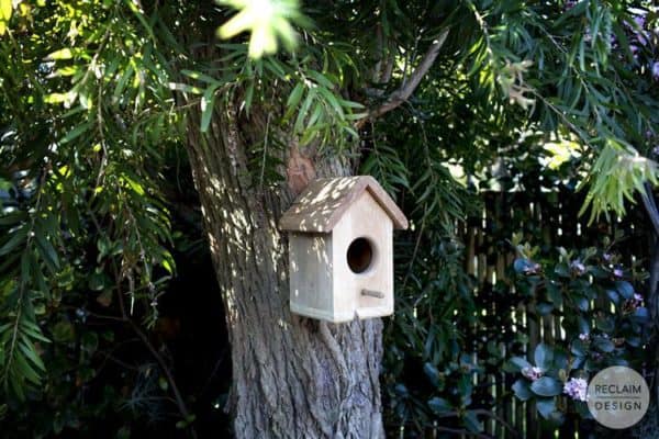 How To Make A Bird Box Out Of Pallet Wood Animal Pallet Houses & Pallet Supplies DIY Pallet Video Tutorials How To Make A Bird Box Out Of Pallet Wood Animal Pallet Houses & Pallet Supplies DIY Pallet Video Tutorials
