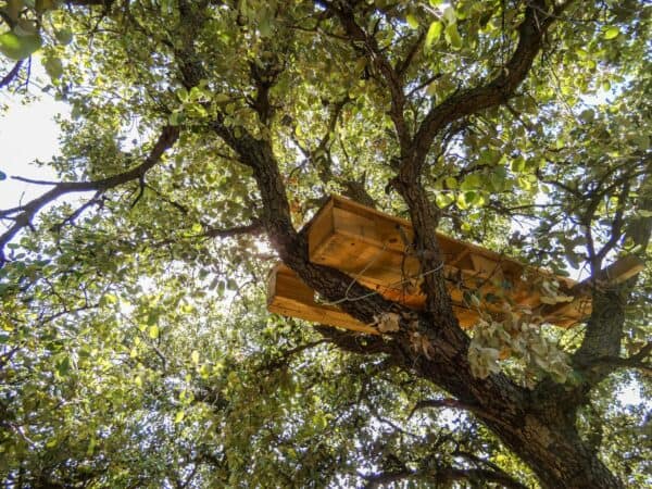 Pallet Treehouse Pallet Sheds, Cabins, Huts & Playhouses Pallet Treehouse Pallet Sheds, Cabins, Huts & Playhouses