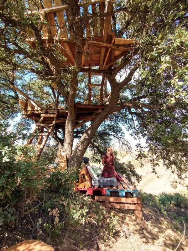 Pallet Treehouse Pallet Sheds, Cabins, Huts & Playhouses Pallet Treehouse Pallet Sheds, Cabins, Huts & Playhouses
