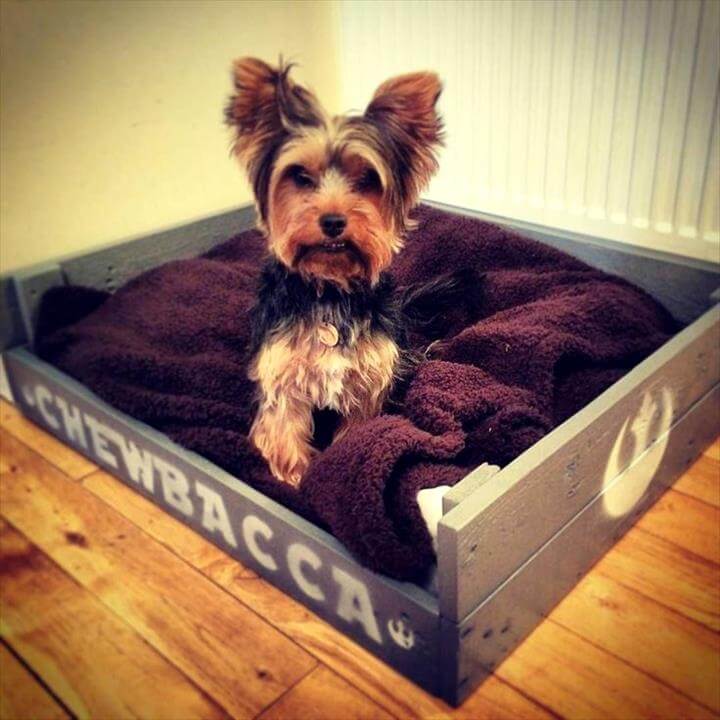40+ Diy Pallet Dog Bed Ideas Animal Pallet Houses & Pallet Supplies 40+ Diy Pallet Dog Bed Ideas Animal Pallet Houses & Pallet Supplies