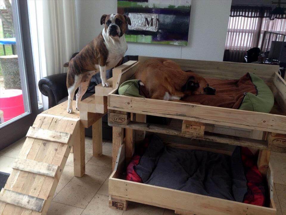 40+ Diy Pallet Dog Bed Ideas Animal Pallet Houses & Pallet Supplies 40+ Diy Pallet Dog Bed Ideas Animal Pallet Houses & Pallet Supplies