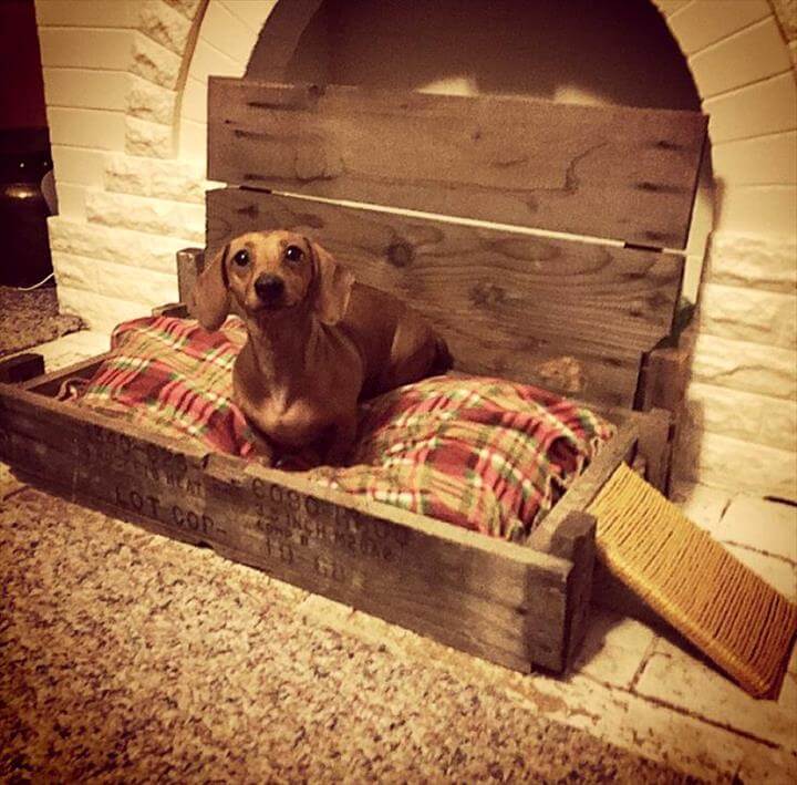 40+ Diy Pallet Dog Bed Ideas Animal Pallet Houses & Pallet Supplies 40+ Diy Pallet Dog Bed Ideas Animal Pallet Houses & Pallet Supplies