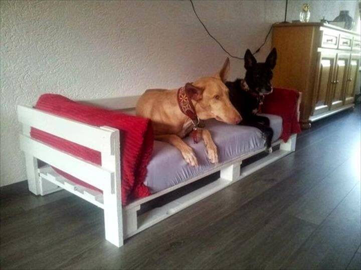 40+ Diy Pallet Dog Bed Ideas Animal Pallet Houses & Pallet Supplies 40+ Diy Pallet Dog Bed Ideas Animal Pallet Houses & Pallet Supplies
