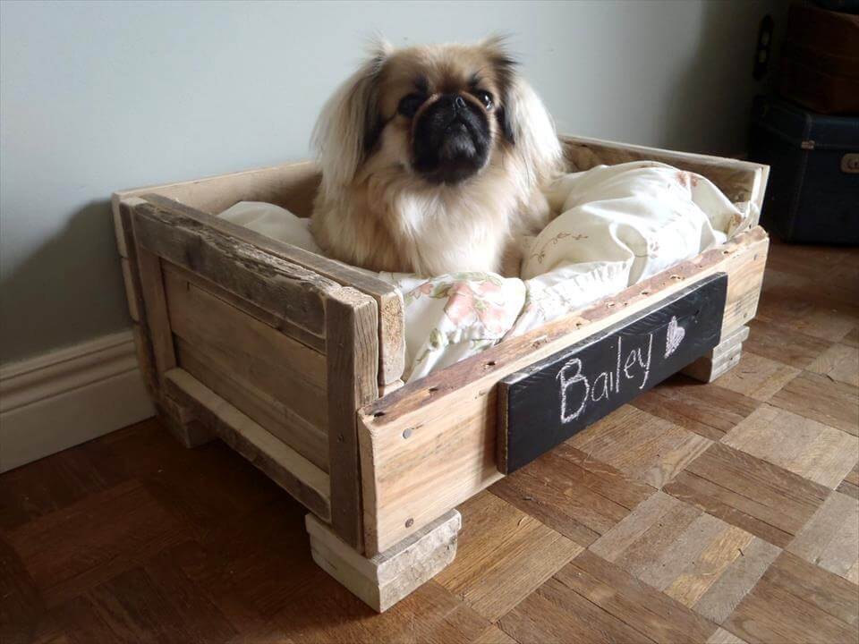 40+ Diy Pallet Dog Bed Ideas Animal Pallet Houses & Pallet Supplies 40+ Diy Pallet Dog Bed Ideas Animal Pallet Houses & Pallet Supplies