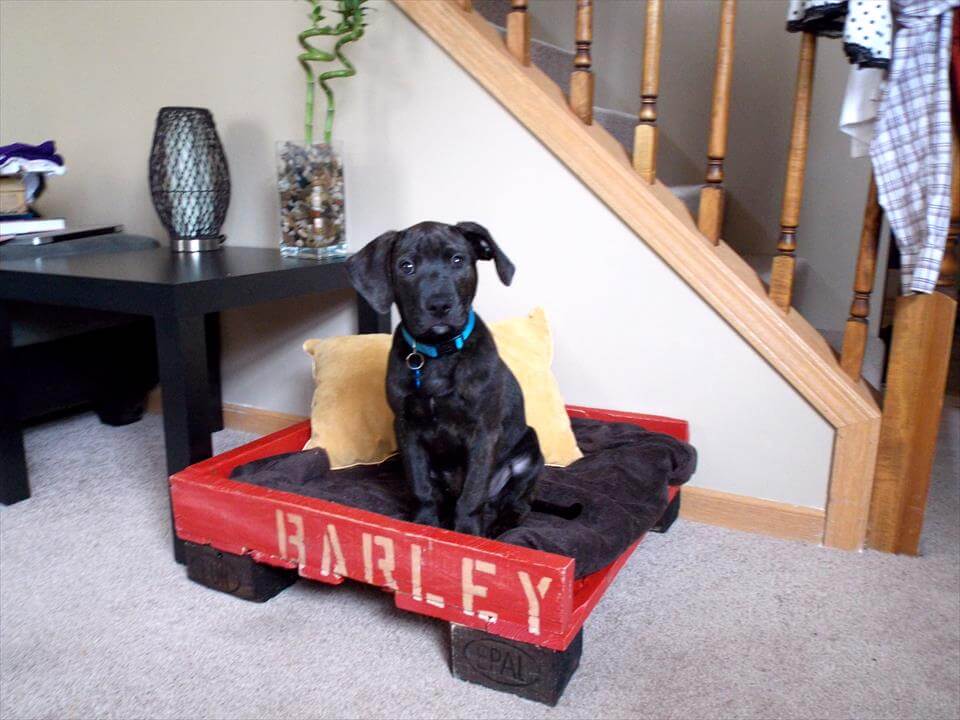 40+ Diy Pallet Dog Bed Ideas Animal Pallet Houses & Pallet Supplies 40+ Diy Pallet Dog Bed Ideas Animal Pallet Houses & Pallet Supplies
