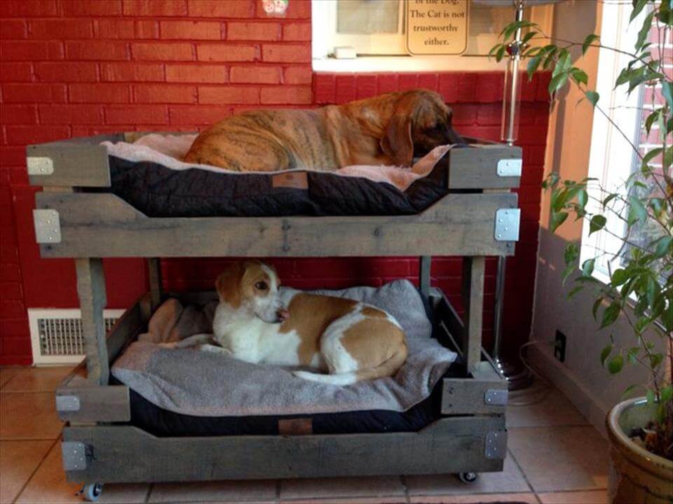 40+ Diy Pallet Dog Bed Ideas Animal Pallet Houses & Pallet Supplies 40+ Diy Pallet Dog Bed Ideas Animal Pallet Houses & Pallet Supplies