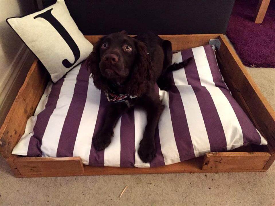 40+ Diy Pallet Dog Bed Ideas Animal Pallet Houses & Pallet Supplies 40+ Diy Pallet Dog Bed Ideas Animal Pallet Houses & Pallet Supplies