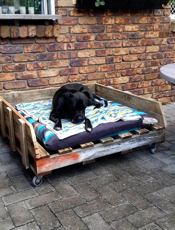 40+ Diy Pallet Dog Bed Ideas Animal Pallet Houses & Pallet Supplies 40+ Diy Pallet Dog Bed Ideas Animal Pallet Houses & Pallet Supplies