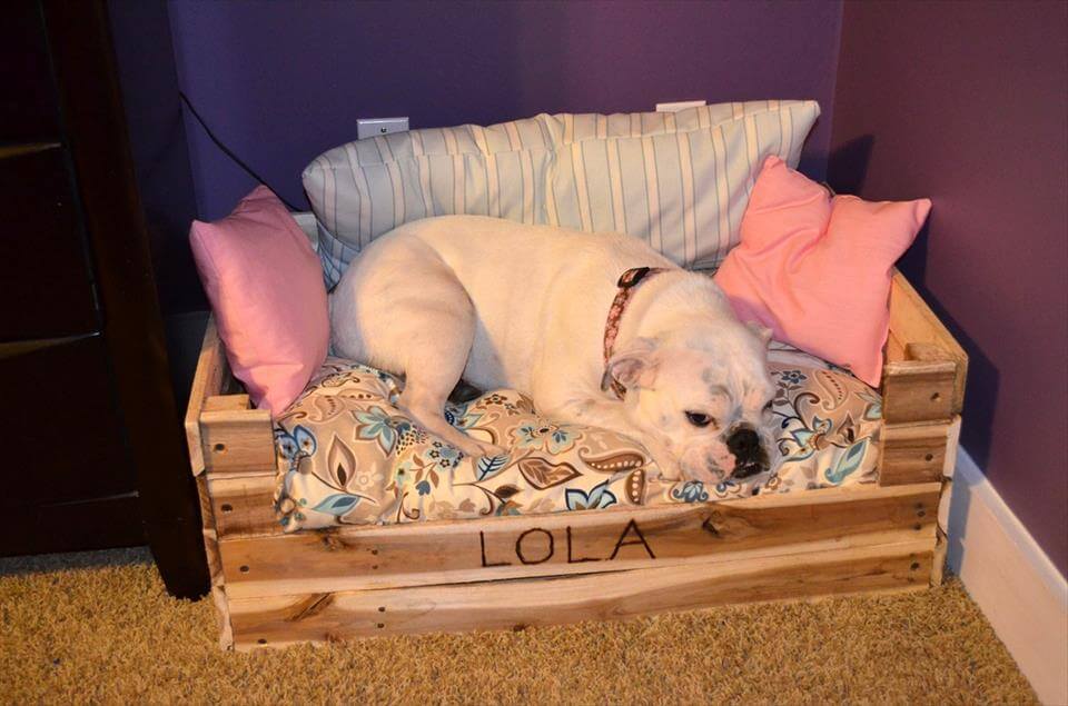 40+ Diy Pallet Dog Bed Ideas Animal Pallet Houses & Pallet Supplies 40+ Diy Pallet Dog Bed Ideas Animal Pallet Houses & Pallet Supplies