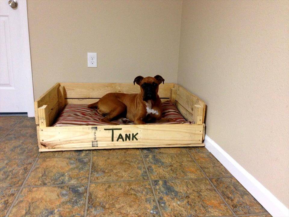 40+ Diy Pallet Dog Bed Ideas Animal Pallet Houses & Pallet Supplies 40+ Diy Pallet Dog Bed Ideas Animal Pallet Houses & Pallet Supplies