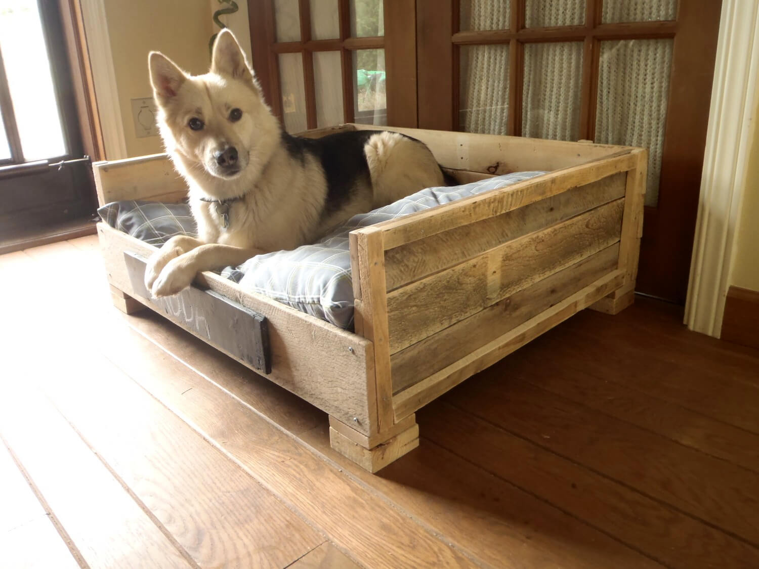 40+ Diy Pallet Dog Bed Ideas Animal Pallet Houses & Pallet Supplies 40+ Diy Pallet Dog Bed Ideas Animal Pallet Houses & Pallet Supplies