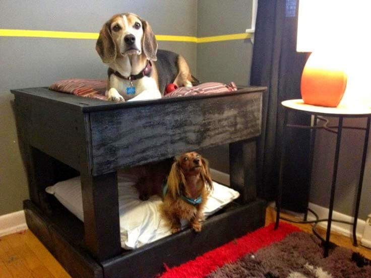 40+ Diy Pallet Dog Bed Ideas Animal Pallet Houses & Pallet Supplies 40+ Diy Pallet Dog Bed Ideas Animal Pallet Houses & Pallet Supplies