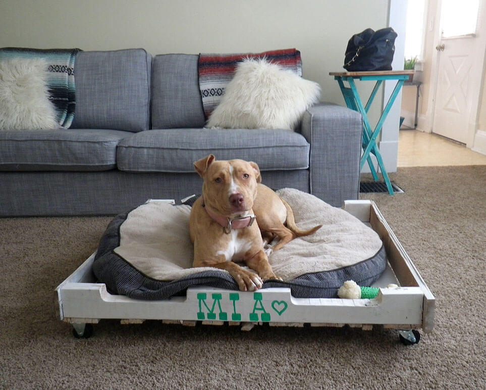 40+ Diy Pallet Dog Bed Ideas Animal Pallet Houses & Pallet Supplies 40+ Diy Pallet Dog Bed Ideas Animal Pallet Houses & Pallet Supplies