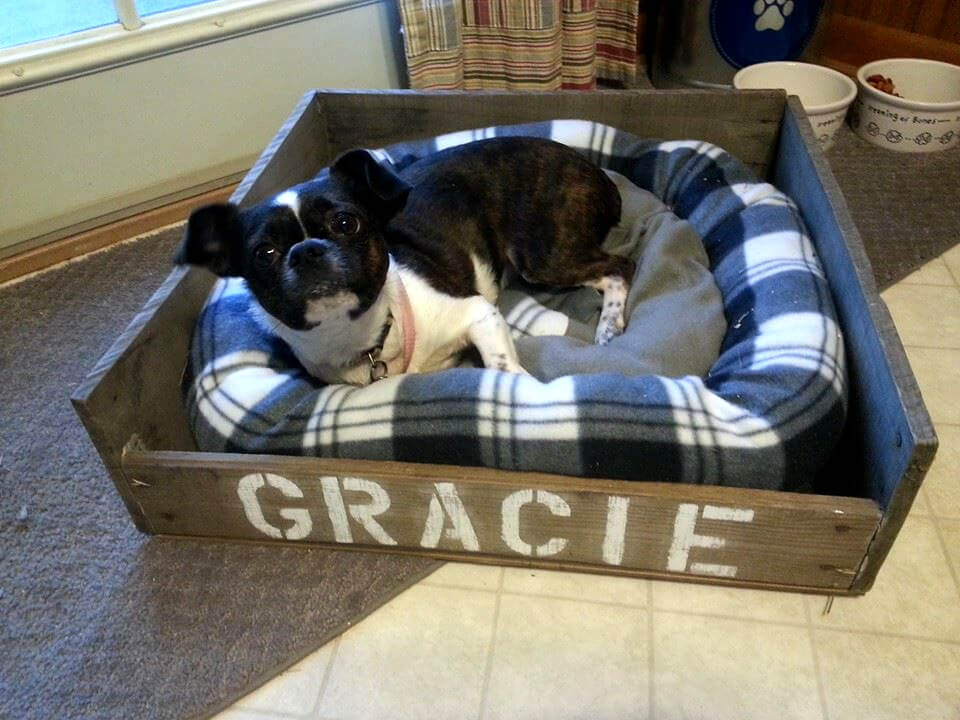 40+ Diy Pallet Dog Bed Ideas Animal Pallet Houses & Pallet Supplies 40+ Diy Pallet Dog Bed Ideas Animal Pallet Houses & Pallet Supplies